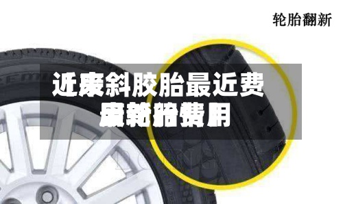 近来
【废斜胶胎最近费用
废轮胎费用
最新行情】-第2张图片