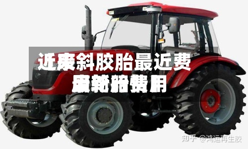 近来
【废斜胶胎最近费用
废轮胎费用
最新行情】