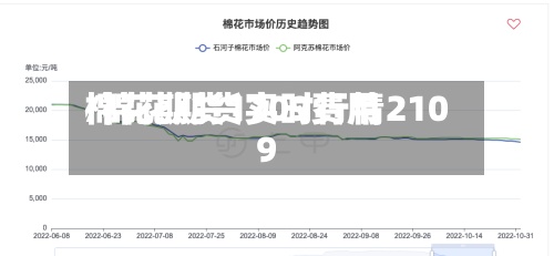 棉花期货1709费用/棉花期货实时行情2109