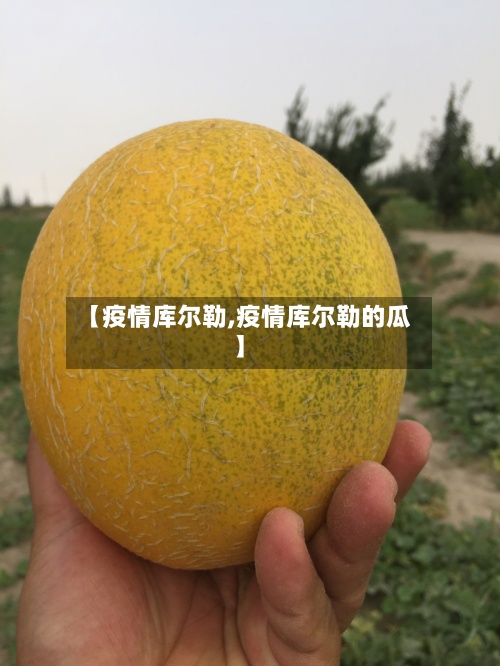 【疫情库尔勒,疫情库尔勒的瓜】