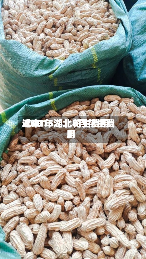 近来
【2015湖北花生费用
2021年湖北8月花生费用
】