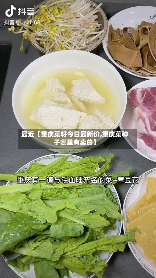 最近【重庆菜籽今日最新价,重庆菜种子哪里有卖的】-第2张图片
