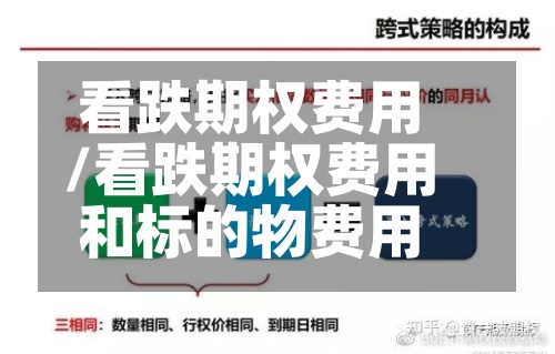 看跌期权费用
/看跌期权费用
和标的物费用
-第2张图片