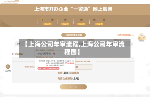 【上海公司年审流程,上海公司年审流程图】