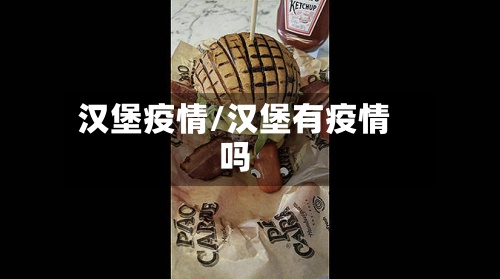 汉堡疫情/汉堡有疫情吗-第2张图片