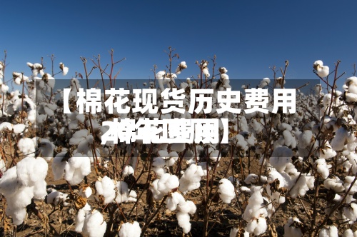 【棉花现货历史费用
,棉花费用
20年回顾】-第3张图片