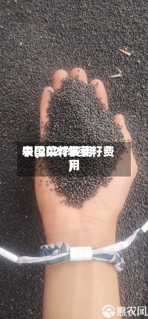 中国菜籽费用
表(2021年菜籽费用
)