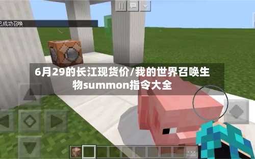 6月29的长江现货价/我的世界召唤生物summon指令大全-第3张图片