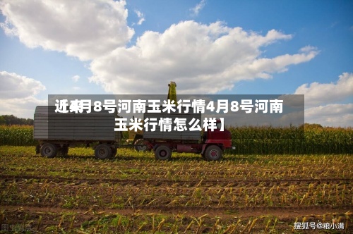 近来
【4月8号河南玉米行情4月8号河南玉米行情怎么样】