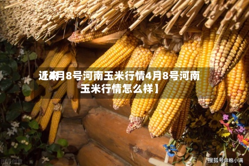 近来
【4月8号河南玉米行情4月8号河南玉米行情怎么样】-第3张图片
