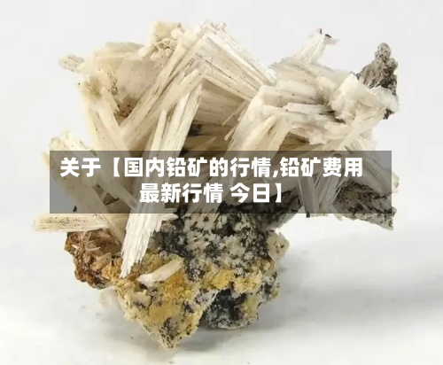 关于【国内铅矿的行情,铅矿费用最新行情 今日】