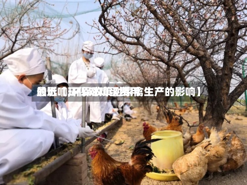 最近【环保对鸡蛋费用的影响,环保政策对家禽生产的影响】-第2张图片