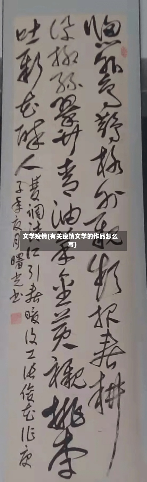 文学疫情(有关疫情文学的作品怎么写)