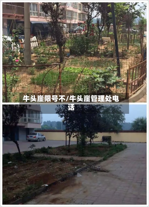 牛头崖限号不/牛头崖管理处电话-第3张图片