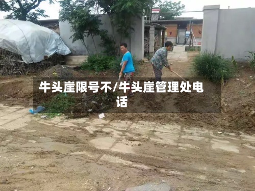 牛头崖限号不/牛头崖管理处电话-第2张图片