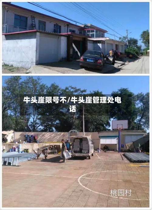 牛头崖限号不/牛头崖管理处电话