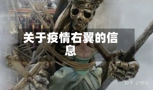 关于疫情右翼的信息