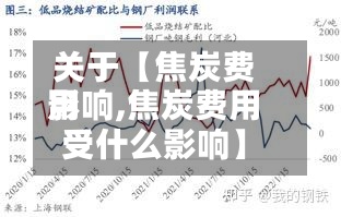 关于【焦炭费用
影响,焦炭费用
受什么影响】