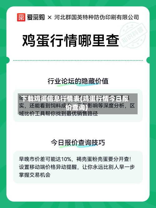 下载鸡蛋信息行情表(鸡蛋行情今日报价查询)-第2张图片