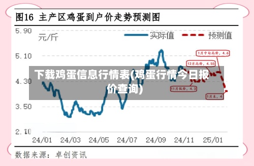 下载鸡蛋信息行情表(鸡蛋行情今日报价查询)