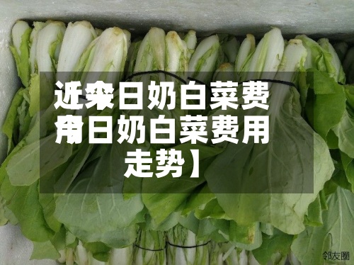近来
【今日奶白菜费用
今日奶白菜费用
走势】