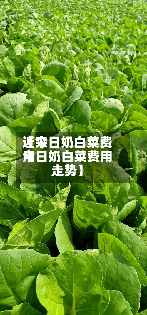近来
【今日奶白菜费用
今日奶白菜费用
走势】-第2张图片