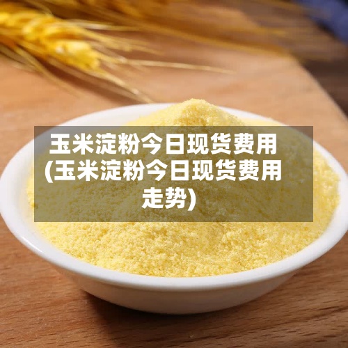 玉米淀粉今日现货费用
(玉米淀粉今日现货费用
走势)-第2张图片