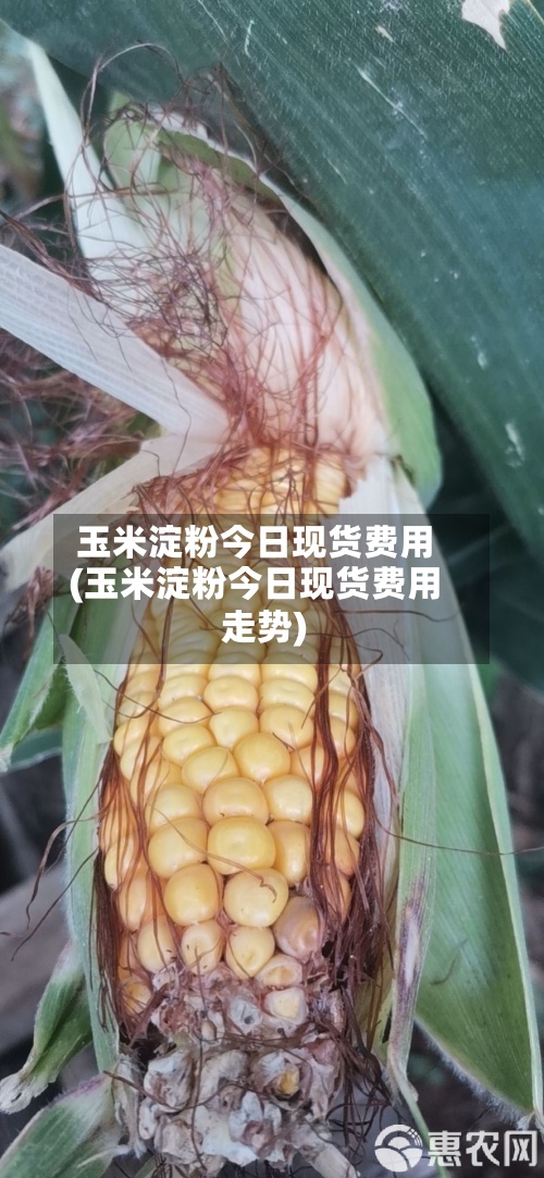 玉米淀粉今日现货费用
(玉米淀粉今日现货费用
走势)