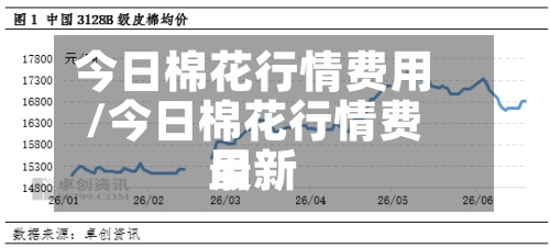今日棉花行情费用
/今日棉花行情费用
最新