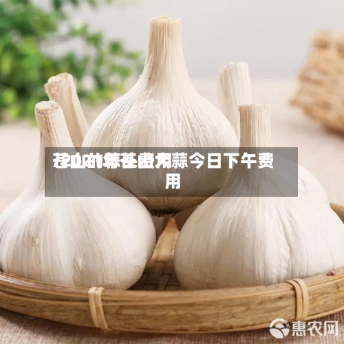 苍山的蒜头费用/2021年苍山大蒜今日下午费用