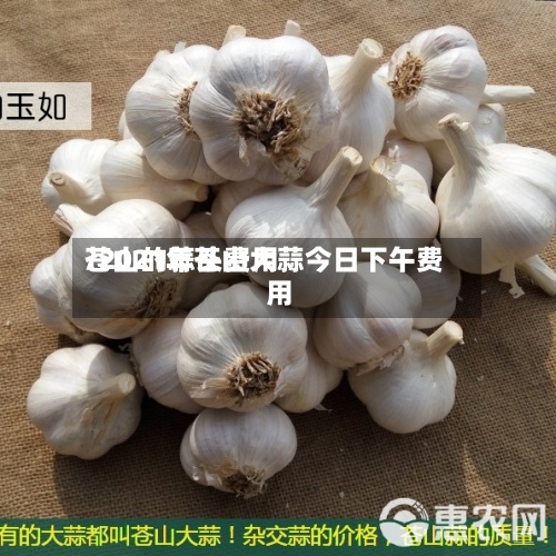 苍山的蒜头费用
/2021年苍山大蒜今日下午费用
-第2张图片