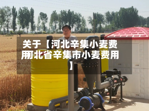 关于【河北辛集小麦费用
,河北省辛集市小麦费用
】