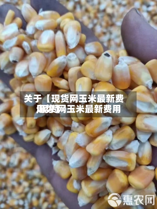 关于【现货网玉米最新费用
,现货网玉米最新费用
走势】-第2张图片
