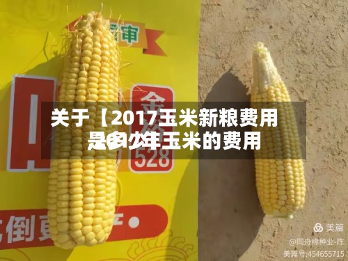 关于【2017玉米新粮费用
,2017年玉米的费用
是多少】-第2张图片