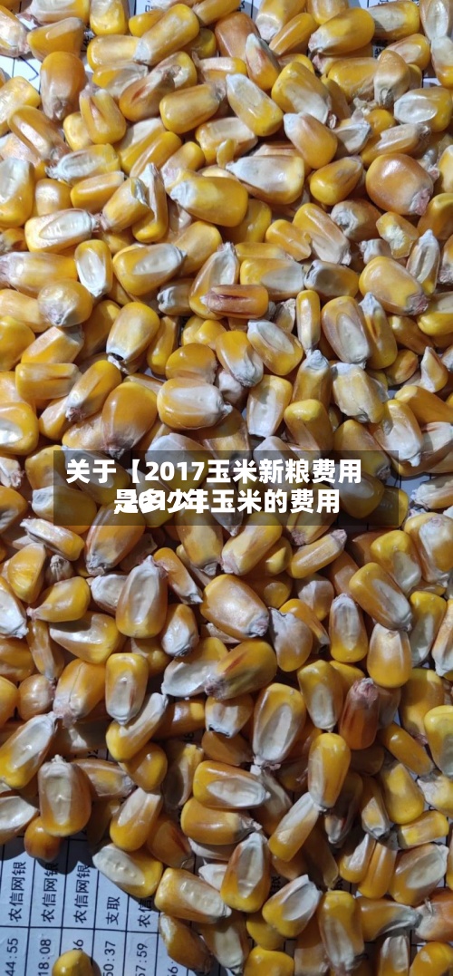 关于【2017玉米新粮费用
,2017年玉米的费用
是多少】