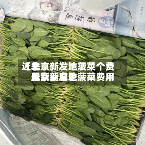 近来
【北京新发地菠菜个费用
北京新发地菠菜费用
最新消息】