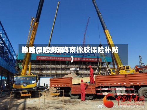 橡胶保险费用
补贴(2021年海南橡胶保险补贴)