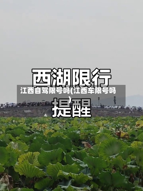 江西自驾限号吗(江西车限号吗)-第2张图片