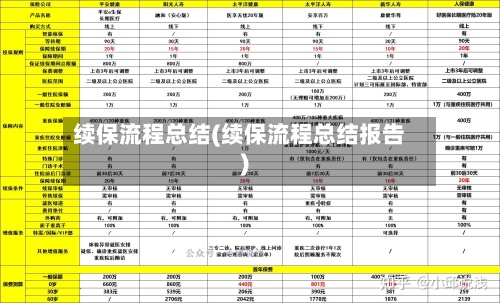 续保流程总结(续保流程总结报告)