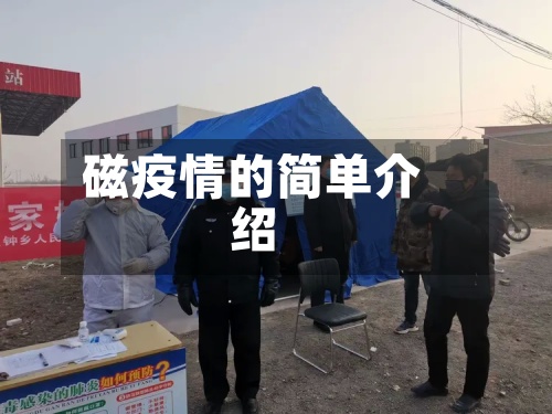 磁疫情的简单介绍-第2张图片