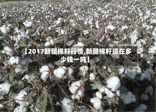 【2017新疆棉籽行情,新疆棉籽现在多少钱一吨】-第2张图片