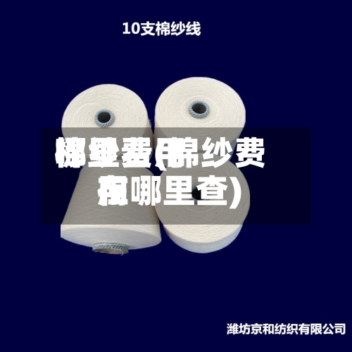 棉纱费用
哪里看(棉纱费用
在哪里查)