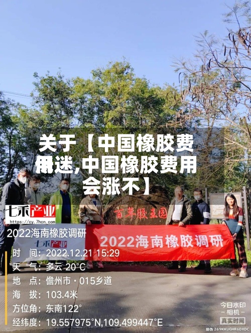 关于【中国橡胶费用
低迷,中国橡胶费用
会涨不】