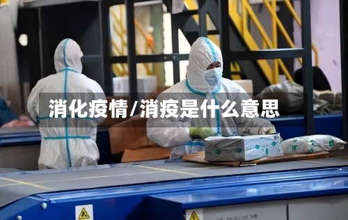 消化疫情/消疫是什么意思-第2张图片
