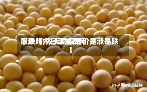 最近【今日菜油费用
下跌吗,今天的菜油价是涨是跌】-第2张图片