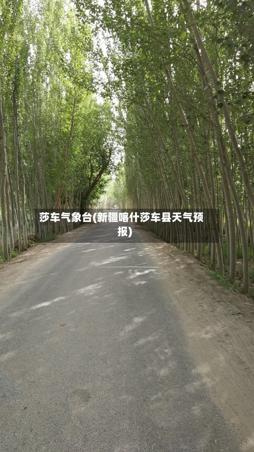 莎车气象台(新疆喀什莎车县天气预报)-第2张图片