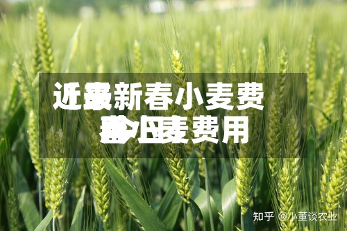 近来
【最新春小麦费用
春小麦费用
今日】