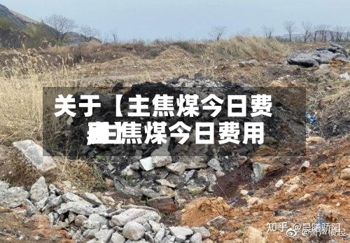 关于【主焦煤今日费用
,主焦煤今日费用
表】