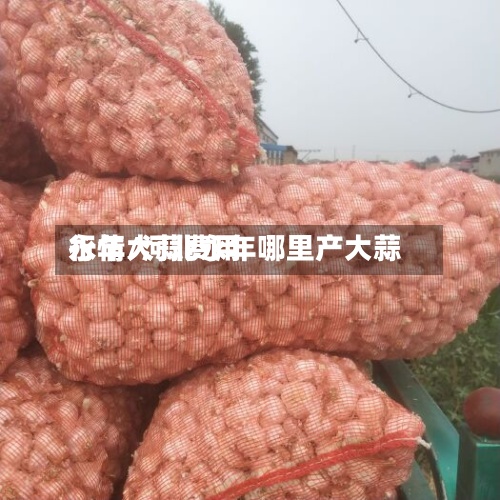 永年大蒜费用行情/河北永年哪里产大蒜