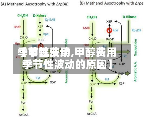 【甲醇费用季节性波动,甲醇费用季节性波动的原因】